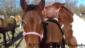MISSING EQUINE 2016 December Prancer-bay mare Star-paint mare Near INDEPENDENCE, MO, 64055
